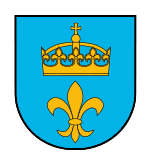 BIP Szydłowo